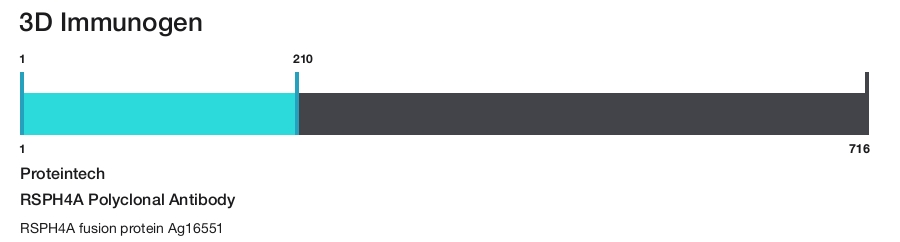 RSPH4A Polyclonal Antibody