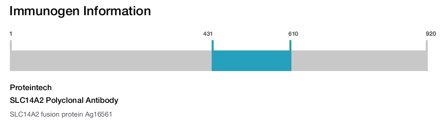 SLC14A2 Polyclonal Antibody
