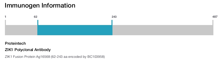 ZIK1 Polyclonal Antibody