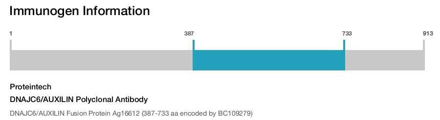 DNAJC6/AUXILIN Polyclonal Antibody