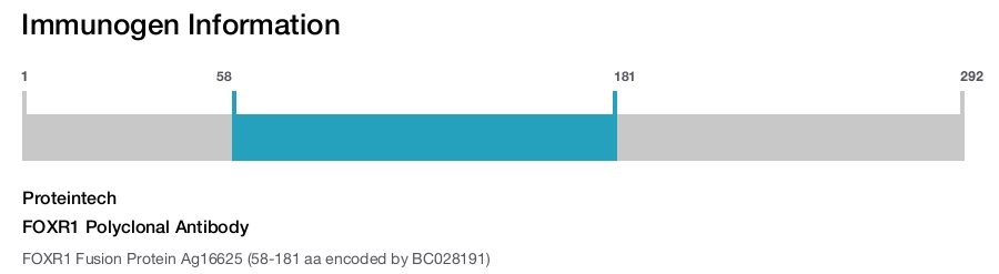 FOXR1 Polyclonal Antibody