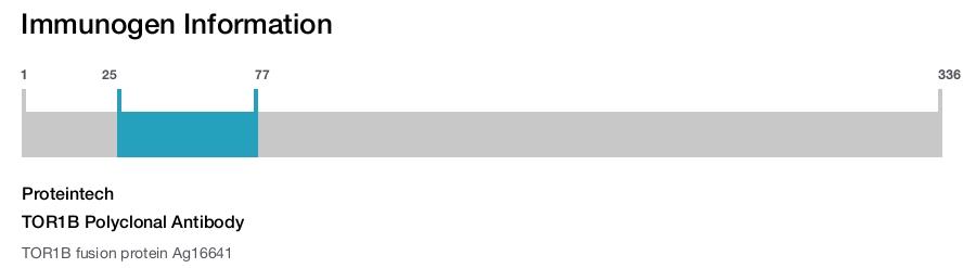 TOR1B Polyclonal Antibody