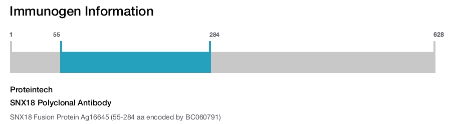 SNX18 Polyclonal Antibody