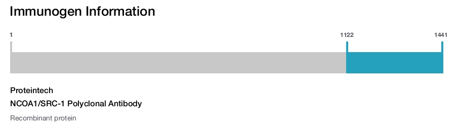 NCOA1/SRC-1 Polyclonal Antibody