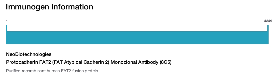 Protocadherin FAT2 (FAT Atypical Cadherin 2) Monoclonal Antibody (8C5)