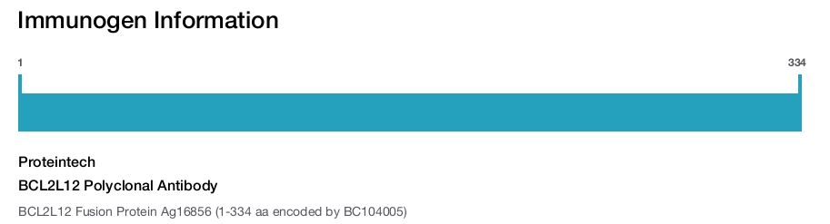 BCL2L12 Polyclonal Antibody