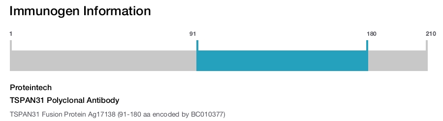 TSPAN31 Polyclonal Antibody