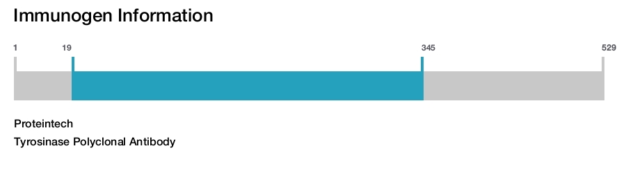 Tyrosinase Polyclonal Antibody
