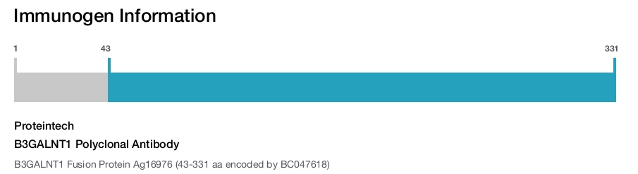 B3GALNT1 Polyclonal Antibody