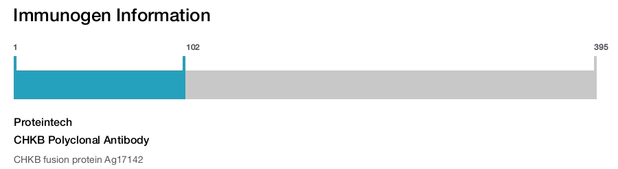 CHKB Polyclonal Antibody