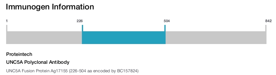 UNC5A Polyclonal Antibody