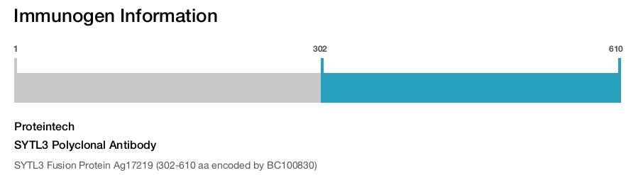 SYTL3 Polyclonal Antibody