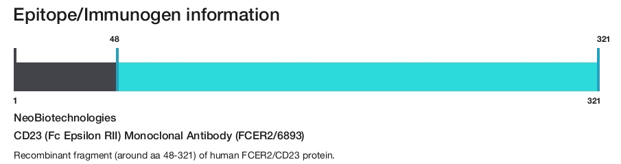 CD23 (Fc Epsilon RII) Monoclonal Antibody (FCER2/6893)