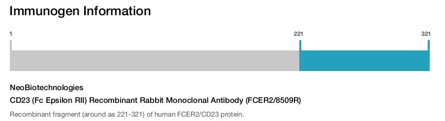 CD23 (Fc Epsilon RII) Recombinant Rabbit Monoclonal Antibody (FCER2/8509R)