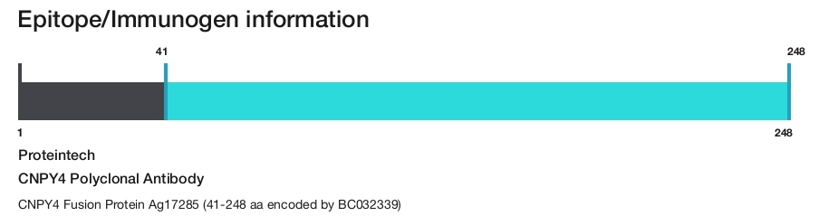 CNPY4 Polyclonal Antibody
