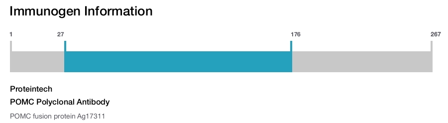 POMC Polyclonal Antibody