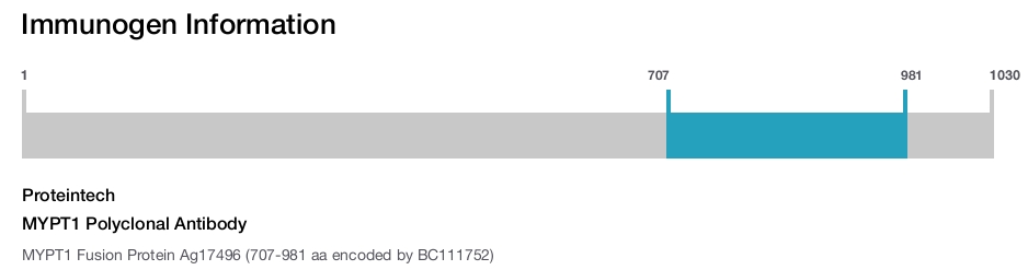 MYPT1 Polyclonal Antibody