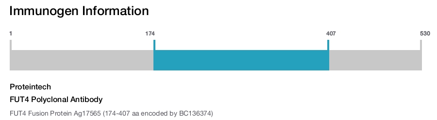 FUT4 Polyclonal Antibody