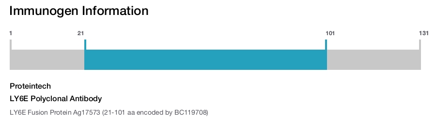 LY6E Polyclonal Antibody