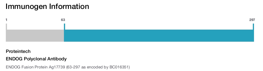 ENDOG Polyclonal Antibody