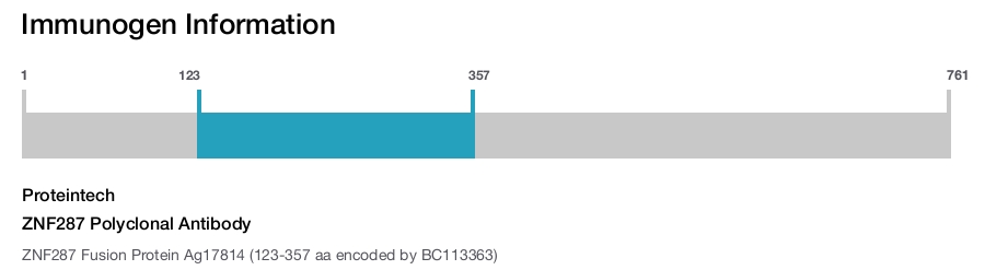 ZNF287 Polyclonal Antibody