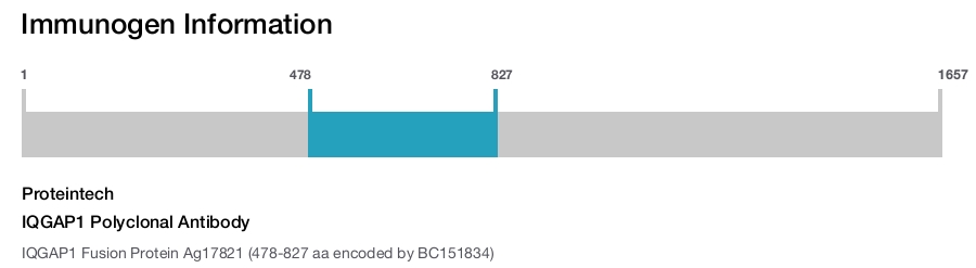 IQGAP1 Polyclonal Antibody