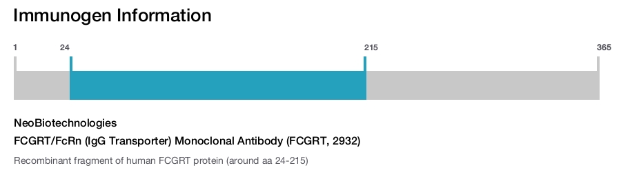 FCGRT/FcRn (IgG Transporter) Monoclonal Antibody (FCGRT, 2932)