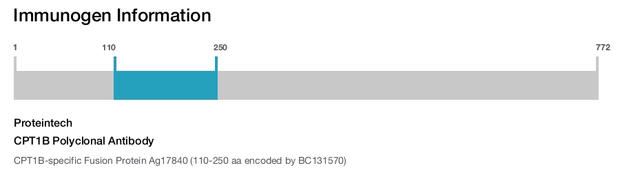 CPT1B Polyclonal Antibody