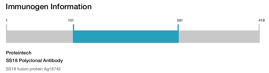 SS18 Polyclonal Antibody