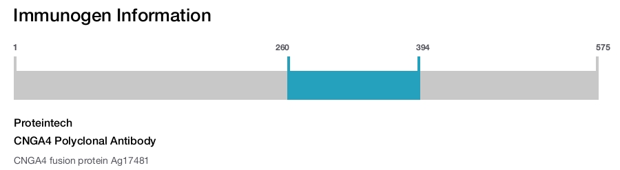 CNGA4 Polyclonal Antibody