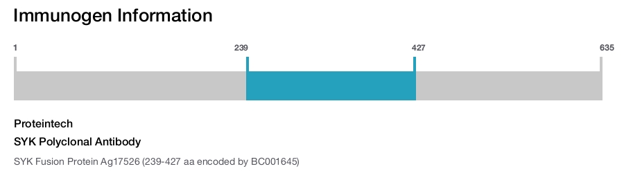 SYK Polyclonal Antibody