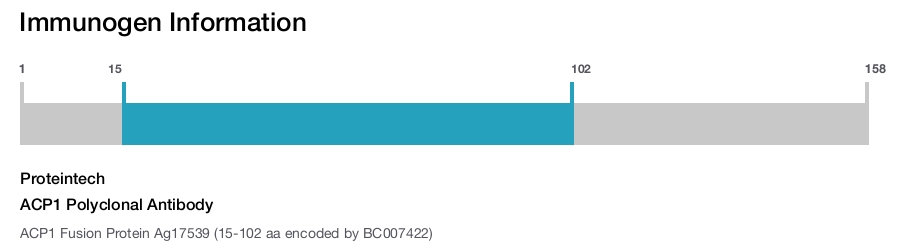 ACP1 Polyclonal Antibody