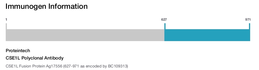CSE1L Polyclonal Antibody