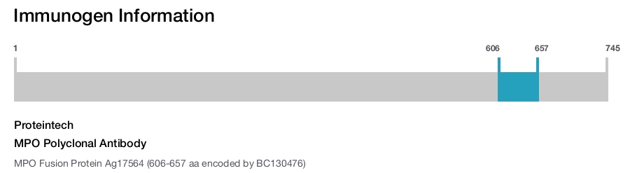 MPO Polyclonal Antibody