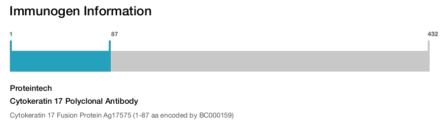 Cytokeratin 17 Polyclonal Antibody
