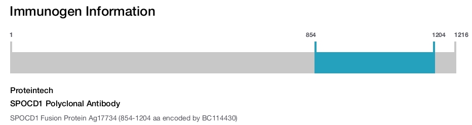 SPOCD1 Polyclonal Antibody