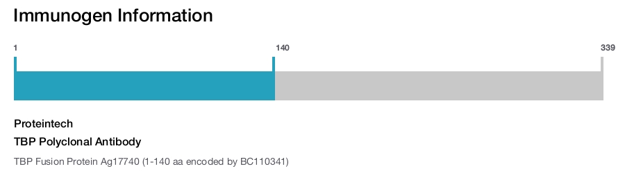 TBP Polyclonal Antibody