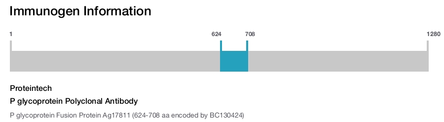 P glycoprotein Polyclonal Antibody