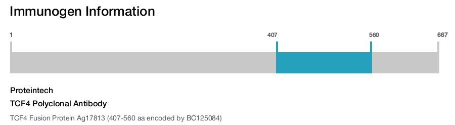 TCF4 Polyclonal Antibody