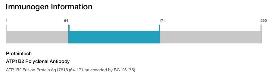 ATP1B2 Polyclonal Antibody