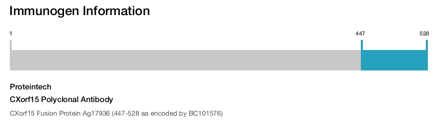 CXorf15 Polyclonal Antibody