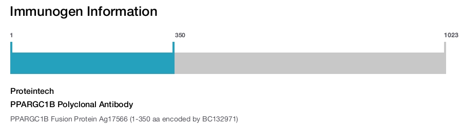 PPARGC1B Polyclonal Antibody