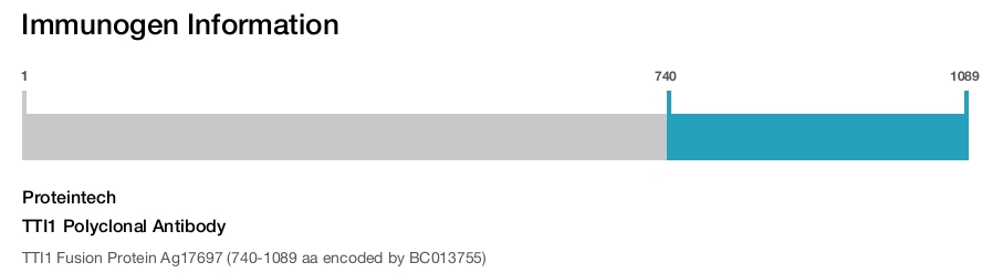 TTI1 Polyclonal Antibody