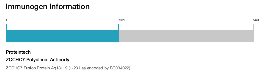 ZCCHC7 Polyclonal Antibody