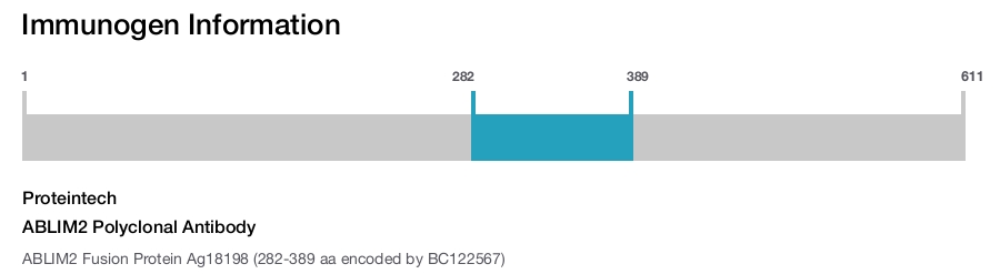 ABLIM2 Polyclonal Antibody