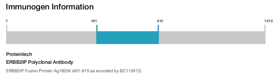 ERBB2IP Polyclonal Antibody