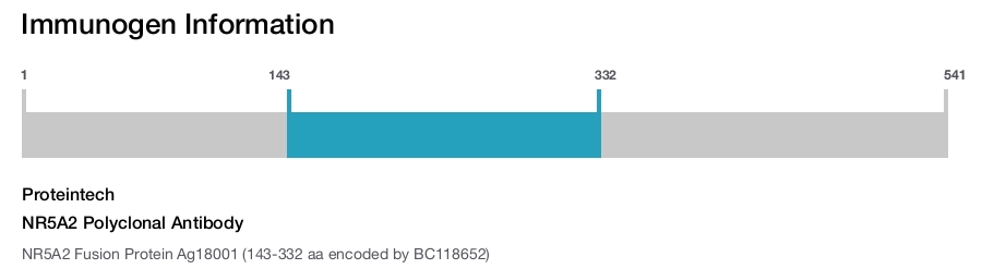 NR5A2 Polyclonal Antibody