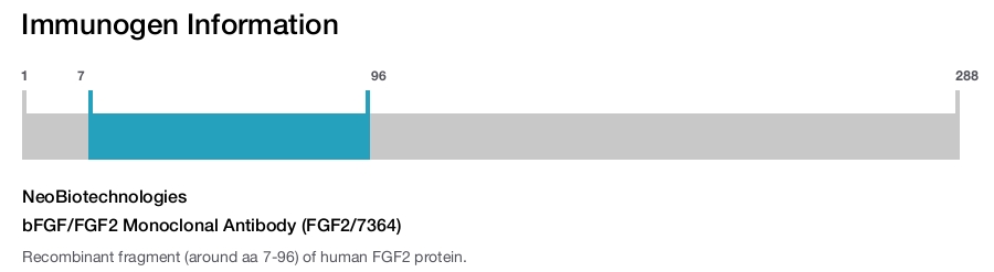 bFGF/FGF2 Monoclonal Antibody (FGF2/7364)