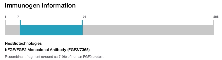 bFGF/FGF2 Monoclonal Antibody (FGF2/7365)