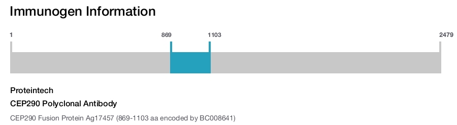 CEP290 Polyclonal Antibody